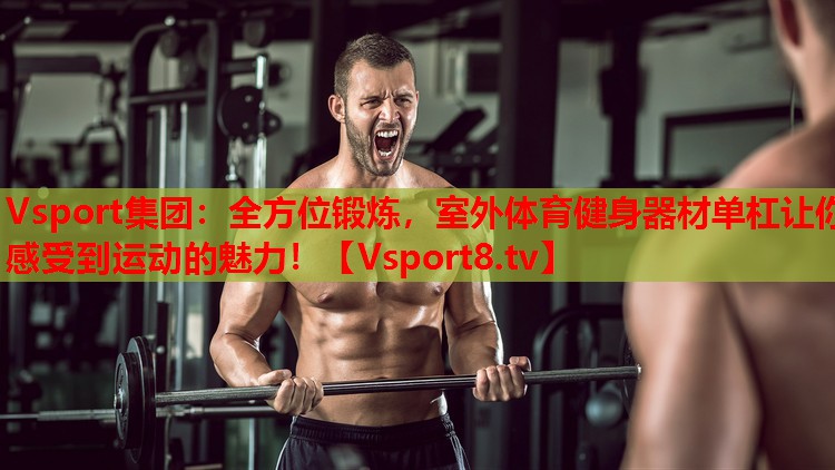 Vsport集團：全方位鍛煉，室外體育健身器材單杠讓你感受到運動的魅力！