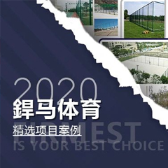 【回顧】2020年體育全年精選項目案例！