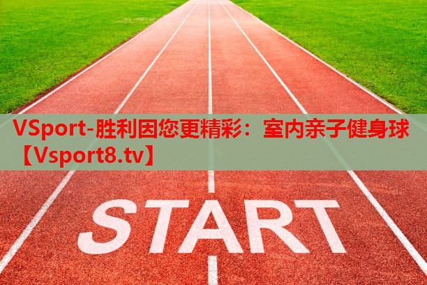 室內(nèi)親子健身球